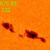732 pixels